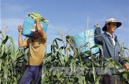 Xúc tiến hợp tác kinh tế giữa Cần Thơ/ĐBSCL và Pháp